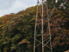 mast-hout-touw